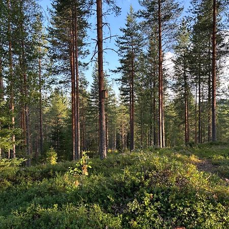 Loppiaiskaari 5, Paljakka Puolanka Buitenkant foto