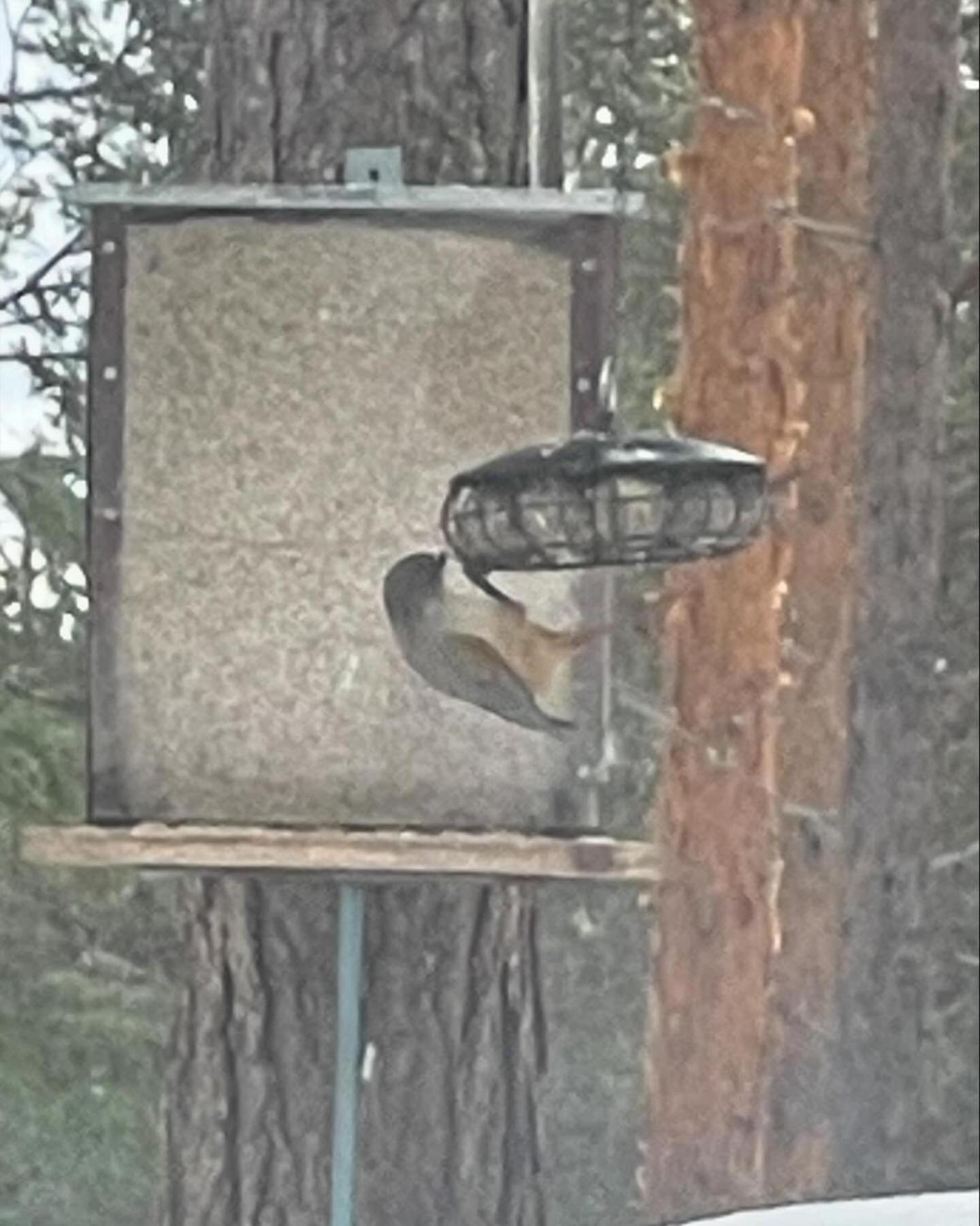 Loppiaiskaari 5, Paljakka Puolanka Buitenkant foto