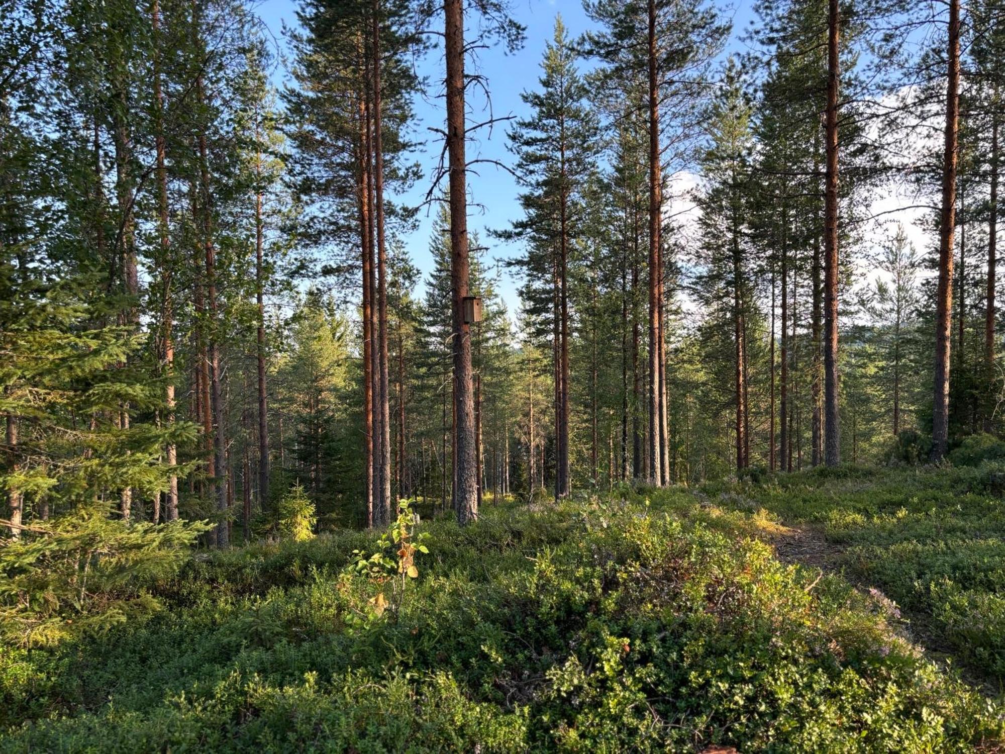 Loppiaiskaari 5, Paljakka Puolanka Buitenkant foto